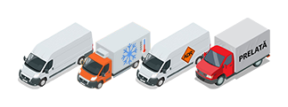 Tipuri dube transport marfa, magazin online, marketplace